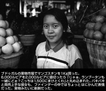 photo / text