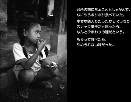 photo / text