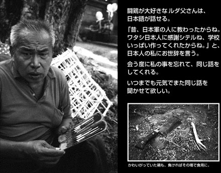 photo / text