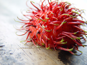 0201bali_376rambutan