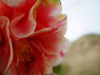 4659_Ö©ÈH