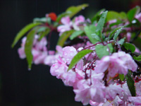 4846_C©